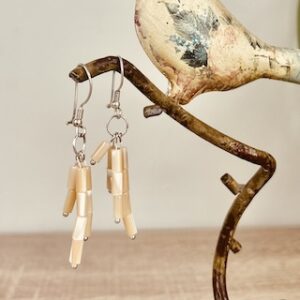 mother of pearl seashell