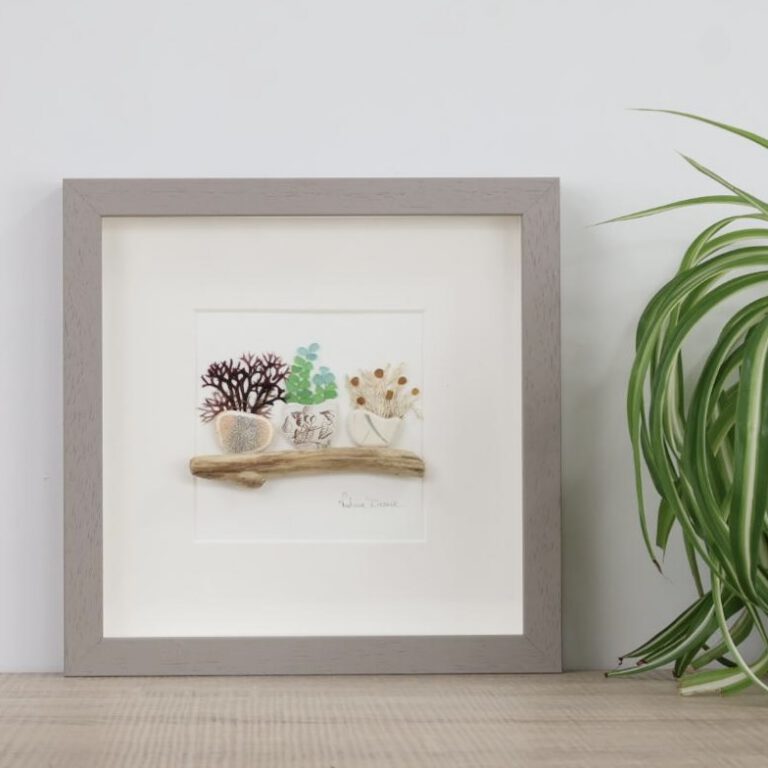 shoreline botanical collection